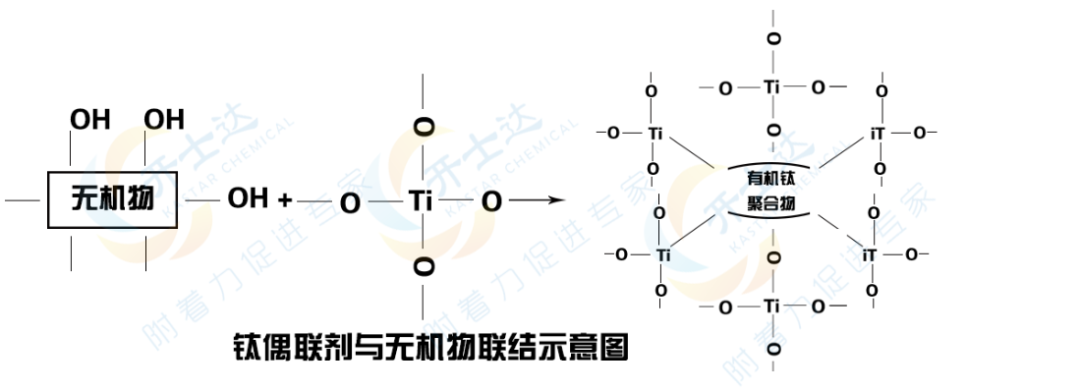 钛酸酯偶联剂连接示意图.png